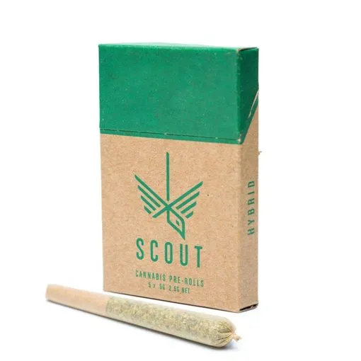 Top-notch dispensary offering a Scout Pre-Roll Pack 0.5g with scout CBD at affordable prices, located conveniently near me.