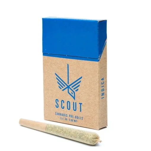 Scout Pre-Roll Pack 0,5g disponibile presso un dispensario di prim'ordine.