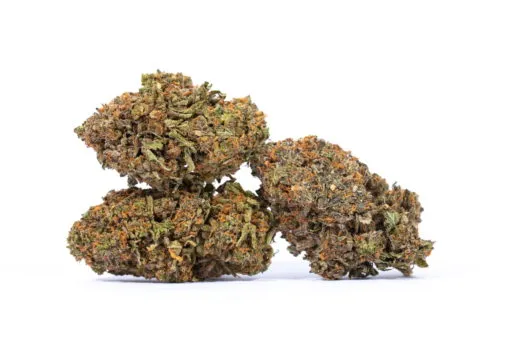 A pile of top notch Ambrosia Strain Maven on a white background, from a dispensary open 24 hours, found on Weedmaps.