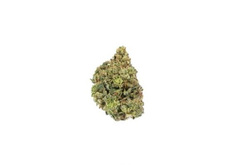 A Cherry Pie Weed Strain flower on a white background, available at 24 hour dispensaries near me.