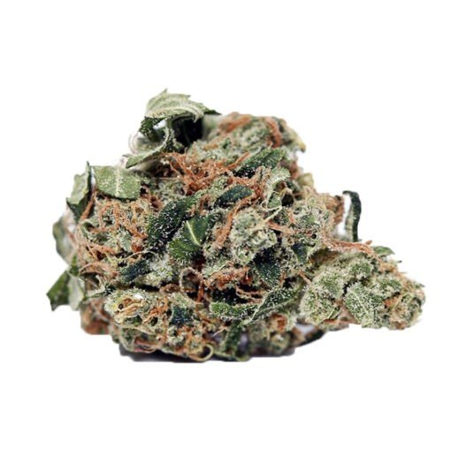 Eine grüne Chemdawg Weed Strain Blume auf einem weißen Hintergrund, erhältlich bei Nectar Dispensaries.