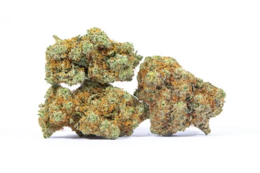 Two Gorilla Bomb Kush Strain plants on a white background at a top notch dispensary.
