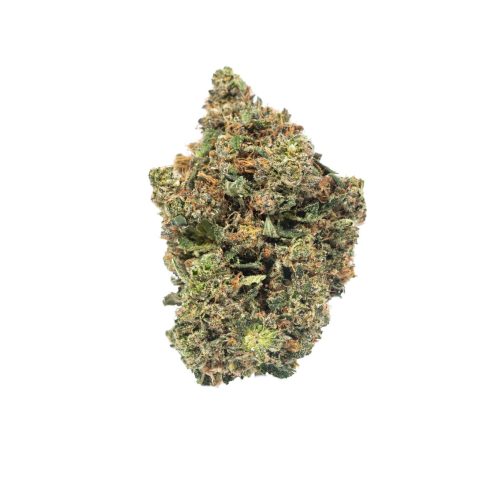 A green Pink Panther Strain flower on a white background available at a top notch dispensary.
