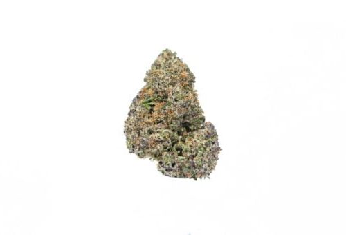 A Sugar Cookies Strain flower showcased on a white background at a Nectar dispensary.