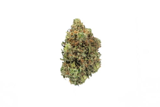 A Wappa Strain flower on a white background available at a nearby dispensary.