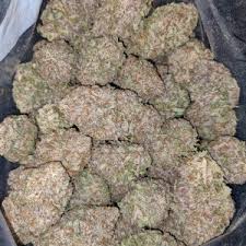 A bag of Black Domina Strain Indica purchased from a top-notch dispensary.