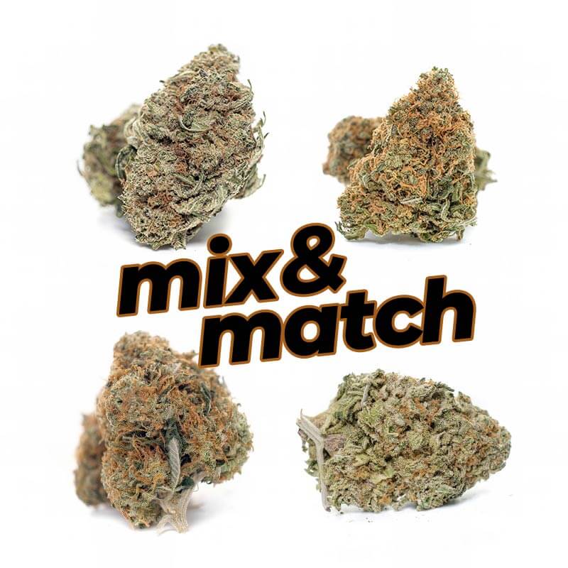 1 Ounce Mix and Match AAA