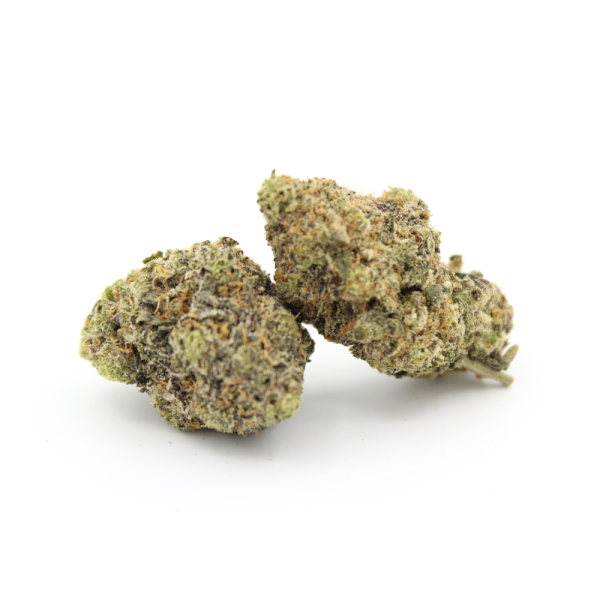 Two Sugar Cake Strain buds on a white background.